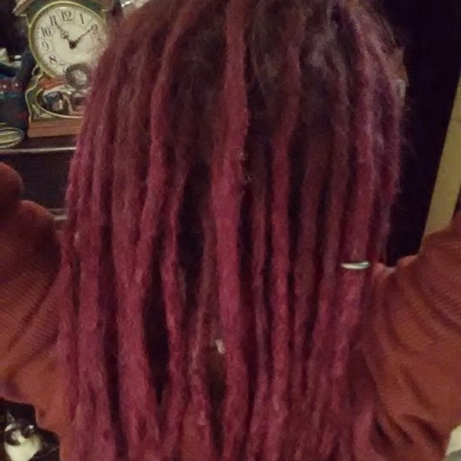 1 week old dreadies